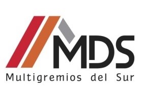 MULTIGREMIOS DEL SUR S.L